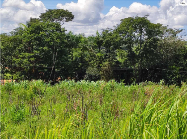Terreno com 5.000m² em Anápolis/GO