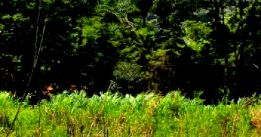 Terreno com 5.000m² em Anápolis/GO