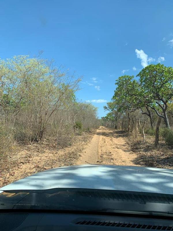 Fazenda Guarani - Grande Potencial Agrícola e Pecuário