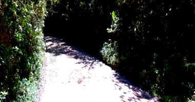 Sítio com 33,33% de parte ideal em Registro