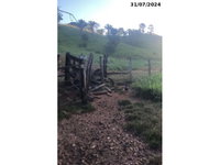 Sítio com 50,25 hectares em Campinaçu/GO - Excelente oportunidade para investimento rural