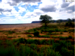 Fazenda rural com 263,05 hectares e terras de lavoura