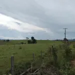 Fração de Campo de 2 Hectares em São Francisco de Assis