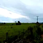 Fração de Campo de 2 Hectares em São Francisco de Assis