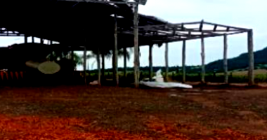Fazenda c/ 681,20 ha - 50% ideal