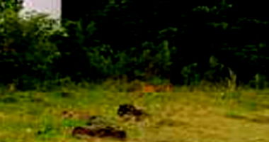 Terreno 420m² em Guaíra/PR