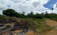 Terreno de 70.000m² em Igarassu/PE - Ótima Oportunidade de Investimento