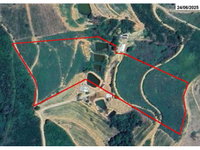 Chácara com 33.000 m², ideal para cultivo de café, com energia monofásica e recursos hídricos.