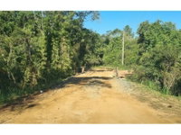 Terreno em Leilão - 11.300m² em Juquitiba/SP