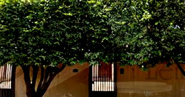 Terreno com Construção Residencial em José Bonifácio