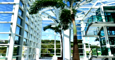 Loja Comercial com 431m² em Salvador - Federação