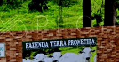 Fazenda Terra Prometida em Santa Cruz de Goiás