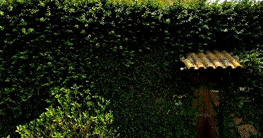 Casa de Madeira com 2 Pavimentos e Ampla Área