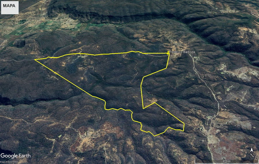 Área Rural com 239,25 ha - Fazenda Palmeirinha Ocupada