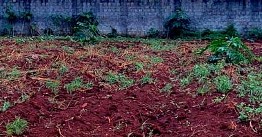 Terreno Urbano Amplo em Guaíra-PR