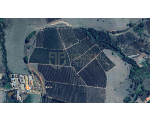 Gleba de Terras Ribeirãozinho com 11,77 ha em Muzambinho