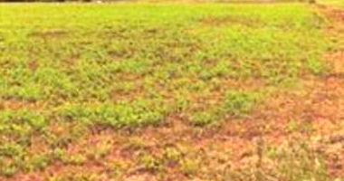 IMÓVEL RURAL COM ÁREA TOTAL DE 21.490,00m²