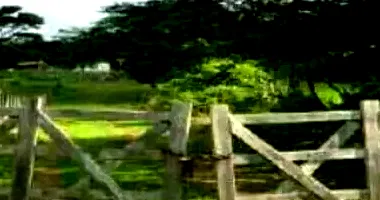 Fazenda com 142m² de área construída em Maragogipe/BA