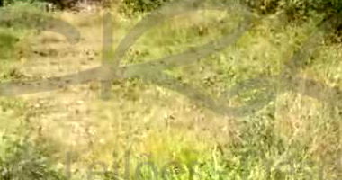Terreno em Caraguatatuba com 40% de Desconto