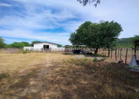 Imóvel Rural, 76ha, Sertânia/PE