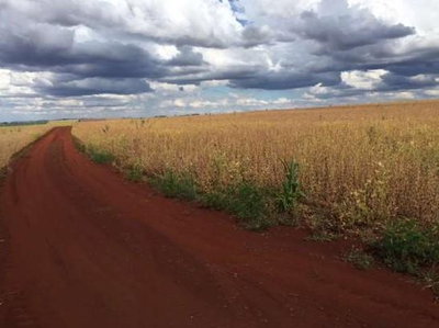 Lote de Terras com 80.665,86 m² em Rolândia/PR