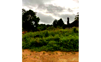 Terreno 464,65m² em Buritis/RO - Oportunidade de Investimento