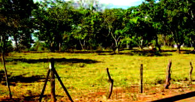 Chácara com 4669.6m² em Goiânia - Terreno amplo para investimento