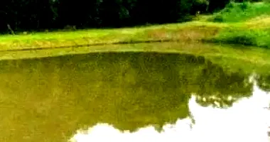 Lote Rural com 20.000 m² em Toledo PR