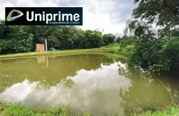 Lote Rural com 20.000 m² em Toledo PR