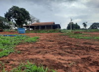 Fazenda Manda Saia com 45 Hectares em Ituiutaba-MG