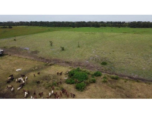 Grande Fazenda com 4.011,6256 hectares, 5 casas, 3 currais e 1 pocilga