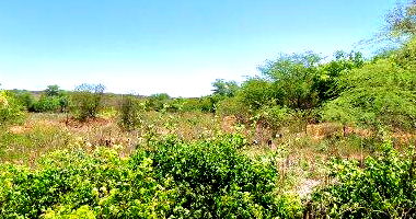 Sítio rural com 27,5 hectares, casa 1 quarto, cisterna, desocupado