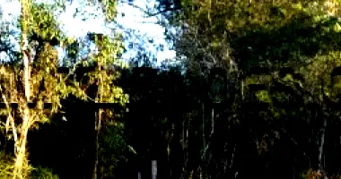 Terreno Amplo com 7.152,28 m² em Bairro Centro