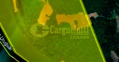 Vasta propriedade rural de 43 hectares com preservação florestal