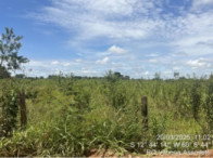 Chácara com 1,9607 hectares em Vilhena/RO
