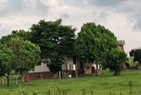 Ampla Área Urbana com 679.628,75 m² em Sapiranga/RS