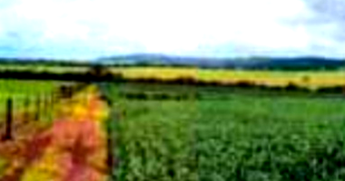 Sítio com 96,8 ha e casa em Fazenda Santana