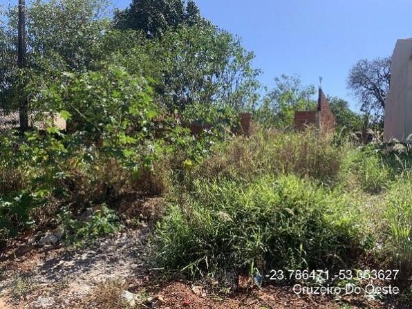 Terreno com 245m² de área total, área privativa 0,01m², sem ocupação informada
