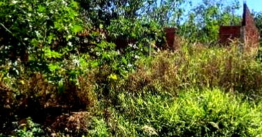 Terreno com 245m² de área total, área privativa 0,01m², sem ocupação informada