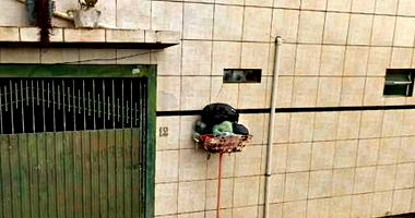 Terreno com Residência em Curitiba - 199m²