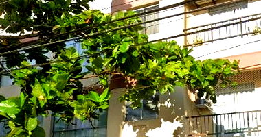 Apartamento 93m² no Edifício Santa Bárbara em Guarujá