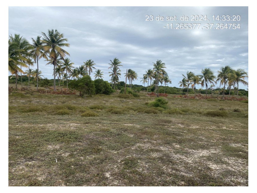 Terreno de 320 m² em loteamento