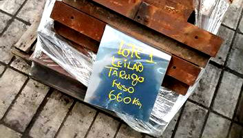 660kg de TARUGO em Guarulhos/SP