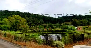 Duas áreas de campo com benfeitorias em Sobradinho/RS