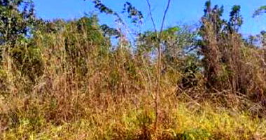Lote em Caldas Novas com 600m² em área nobre