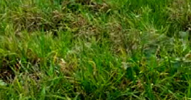 Terreno com 200m² no Residencial Veneza em Paranavaí/PR
