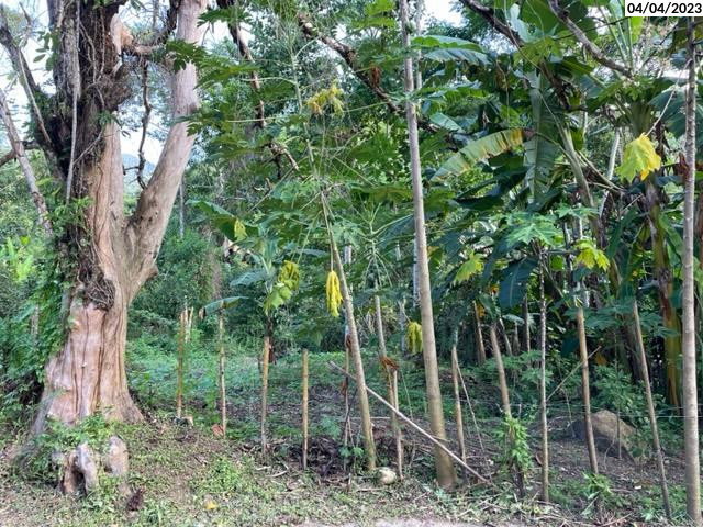 Terreno de 300m² em São Sebastião, ideal para investimento