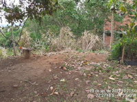 Casa com 4 Quartos e 1 Vaga em Buritis