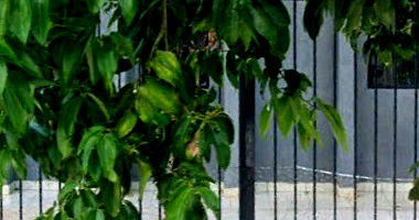 Casa com 201m² no Conj. Hab. Parigot de Souza em Londrina/PR