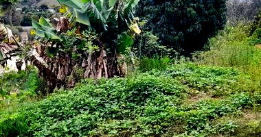 Lote Urbano com Área Total de 405,60M² em Cândido de Abreu/PR